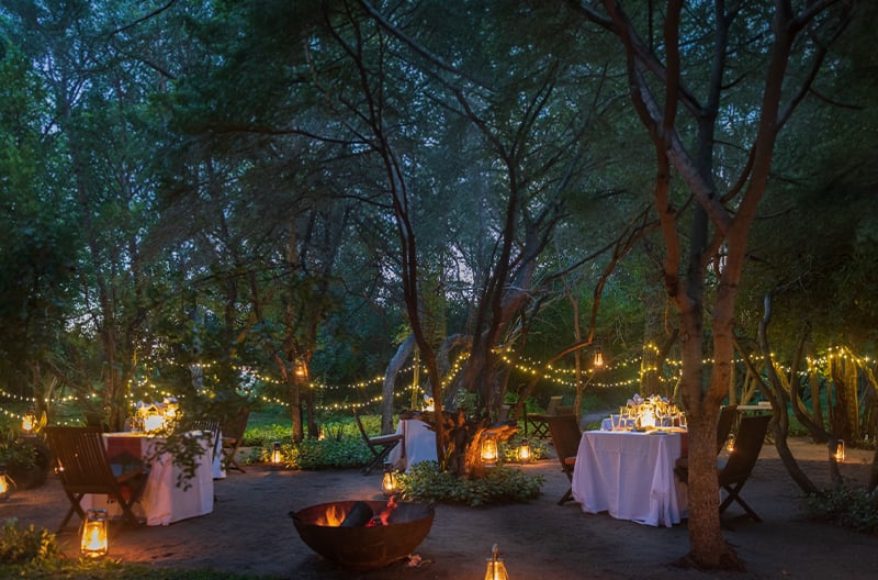 Private starlit dining experiences