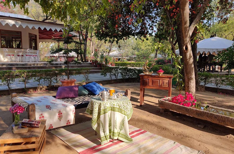 Rustic farm picnics with local flavours
