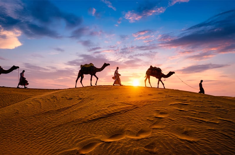 Desert dune stays with camel safaris