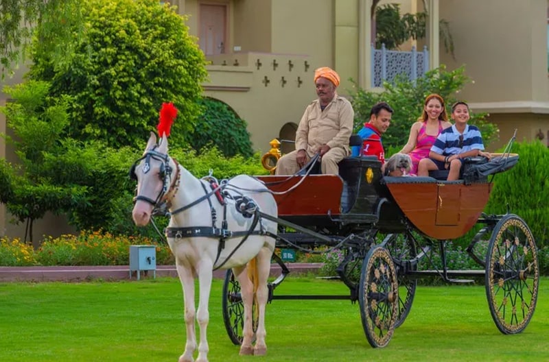 Heritage carriage rides and stargazing