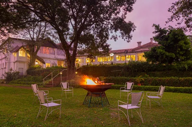 Secluded garden picnic experiences