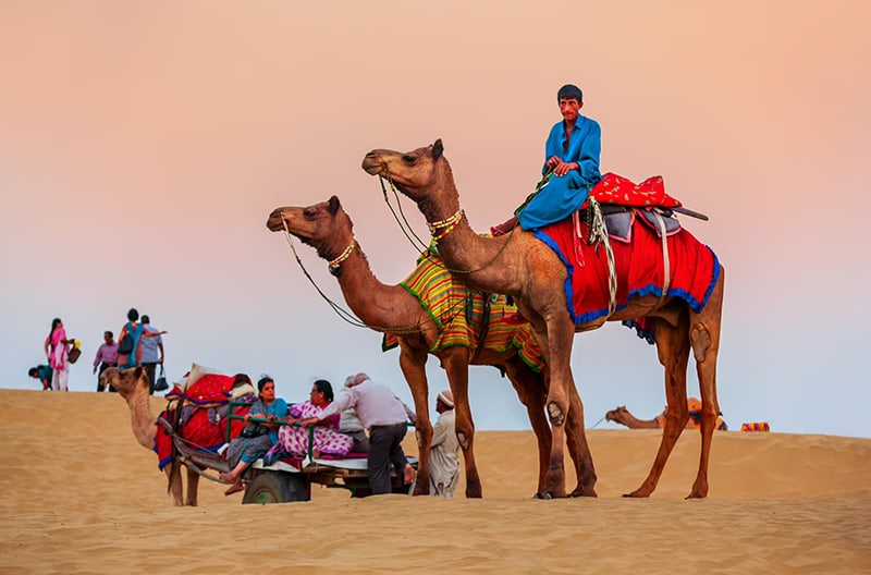 Sunrise desert camel safari