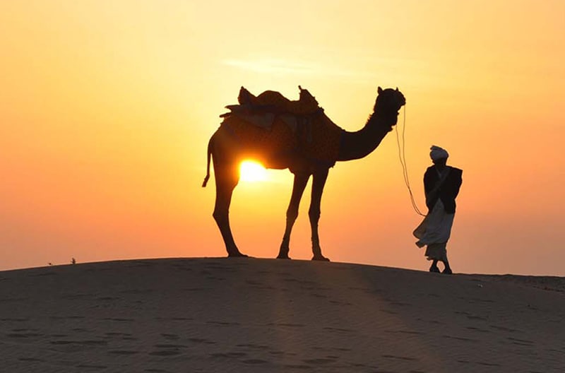 Royal boat and camel rides