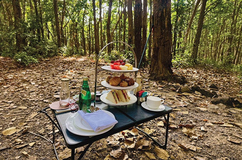 Malsi forest gourmet picnic experience